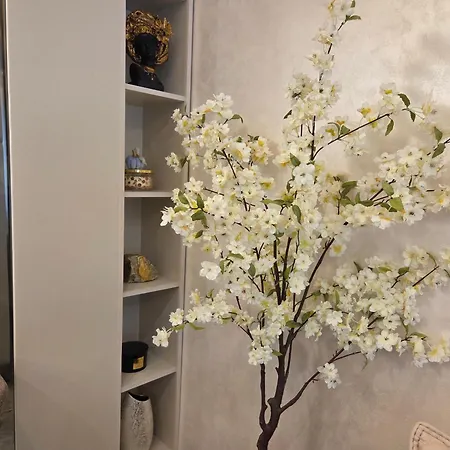 The Sunrise And The Sunset - Luxury 2br With Mineral Pool & Parking Апартаменти Варна
